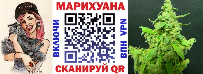 Бошки Шишки THC 21%  магазин продажи наркотиков  Фрязино 